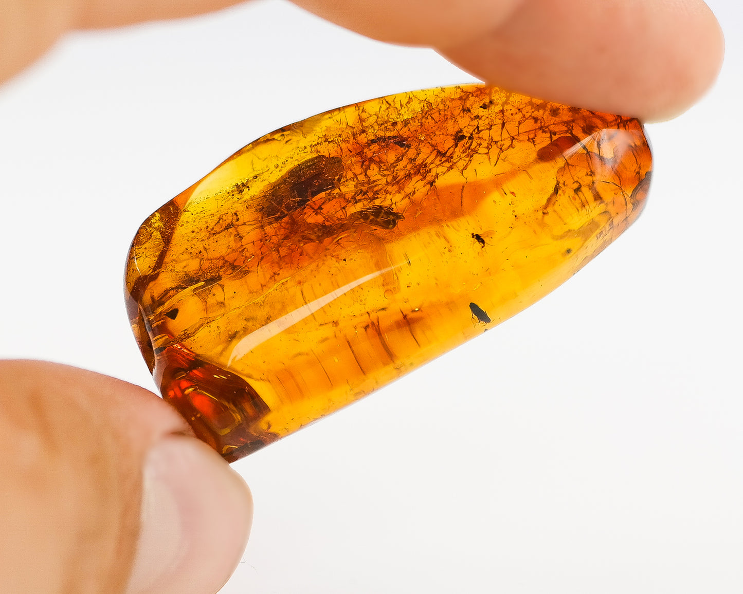 Baltic Amber Piece With Insect